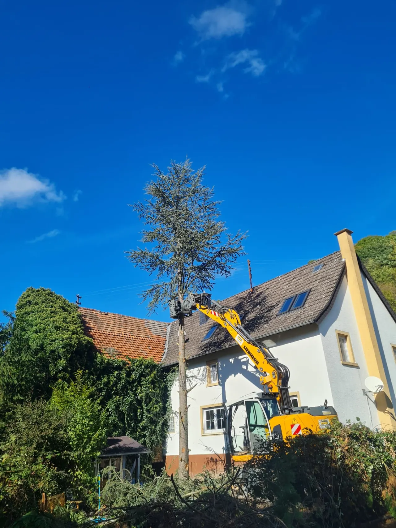 Liebherr Bagger bei einer kontrollierten Baumfällung neben einem Wohnhaus